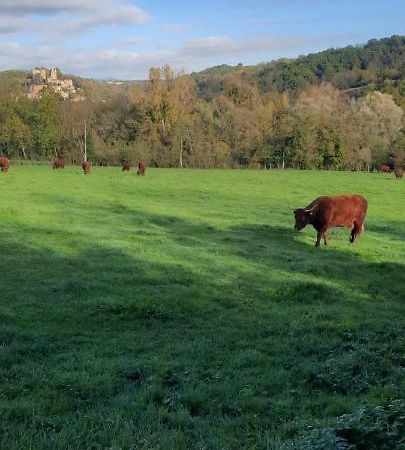 Le Cocon Beaujolais Villa Chatillon  Buitenkant foto